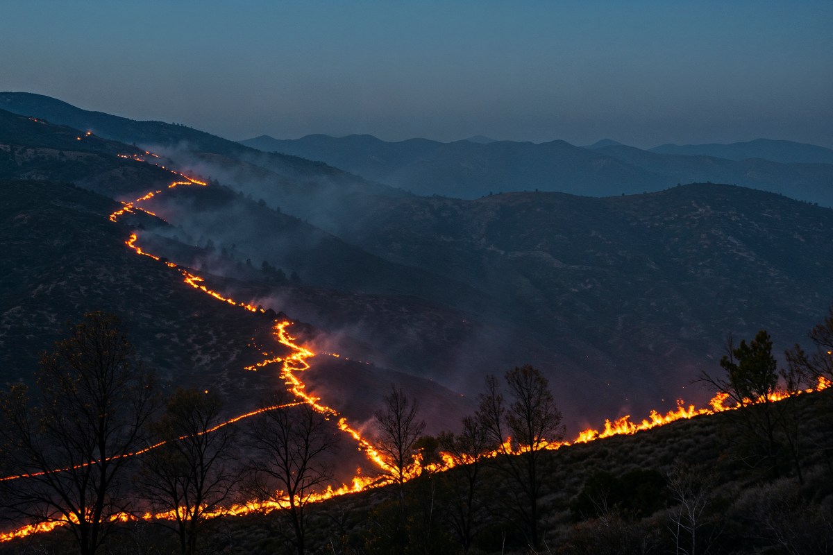 Planes de Incendios y Autoprotección para Pueblos y Entidades&nbsp;Locales